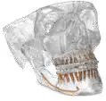 Clear 3D Printing - Healthcare & Dental